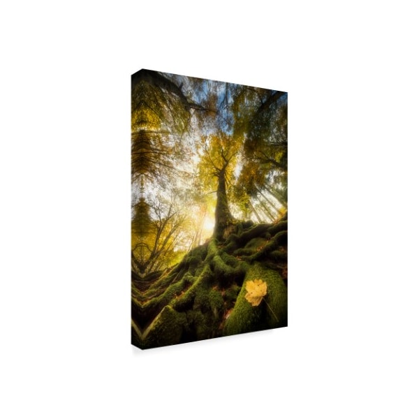 Alberto Ghizzi Panizza 'The Goodbye Of A Leaf' Canvas Art,30x47